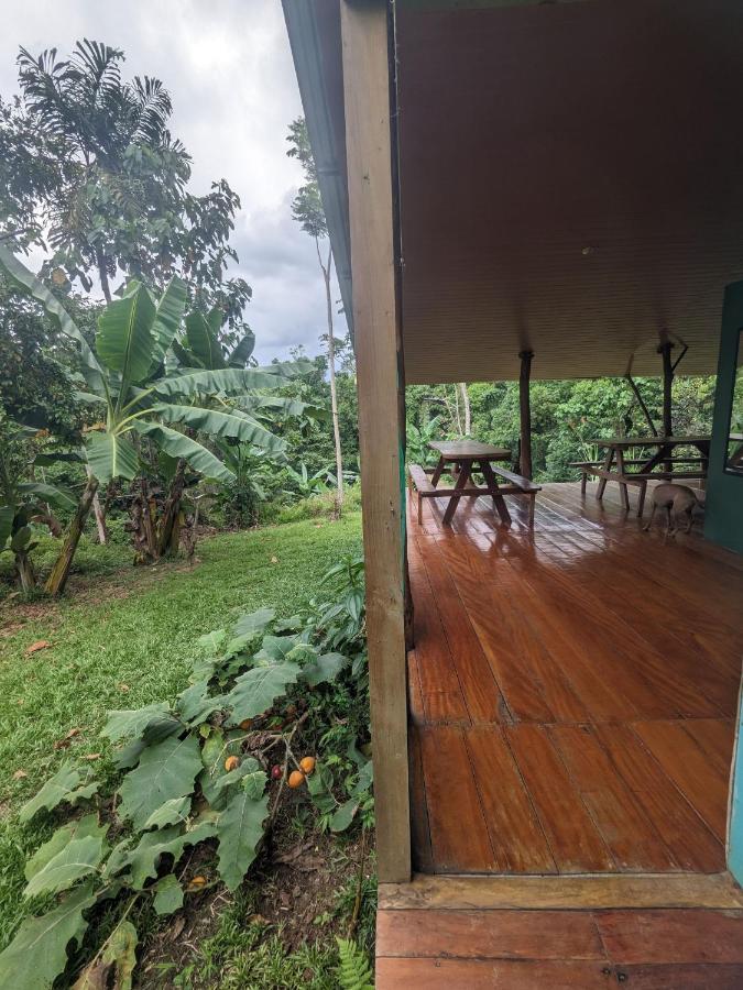 Corcovado Mountain House 호텔 Drakes Bay 외부 사진