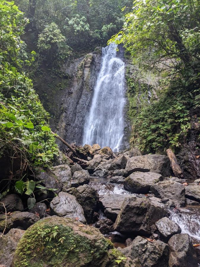 Corcovado Mountain House 호텔 Drakes Bay 외부 사진